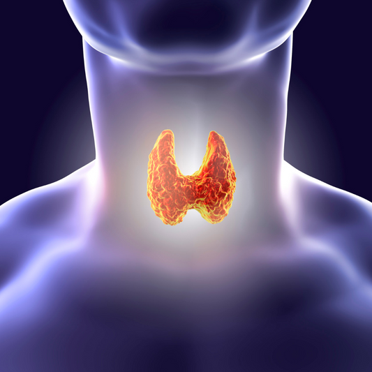 Hashimoto's vs Hypothyroidism