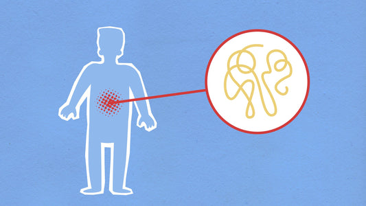 graphic of human with stomach inflammation