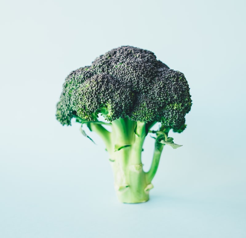 Green broccoli vegetable standing up